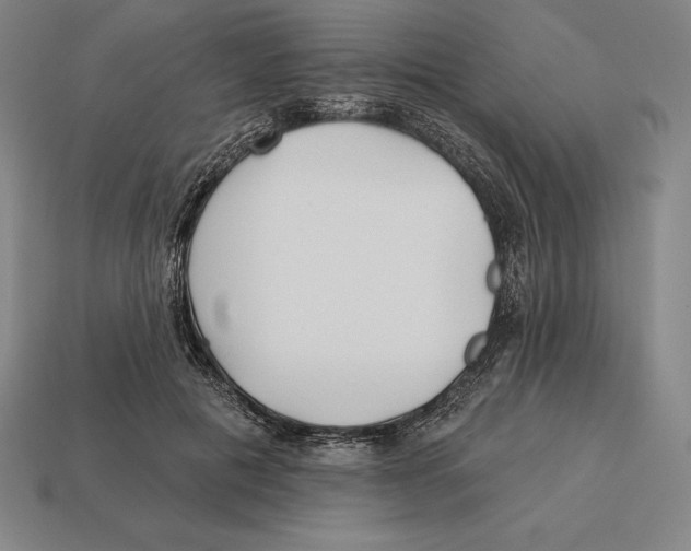 X0000113120601200909251114
