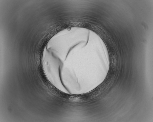 X0000113120602200909251114
