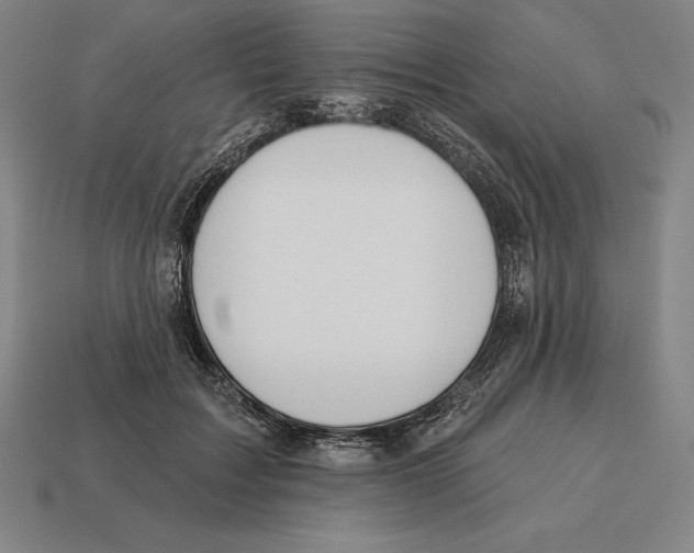 X0000113120603200909251114