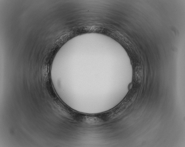 X0000113120605200909251114