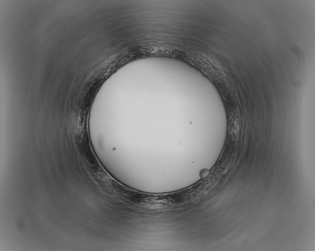 X0000113120607200909251114
