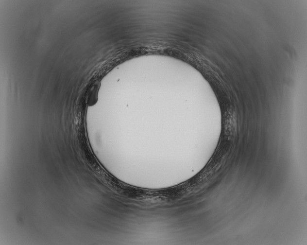 X0000113120608200909251114