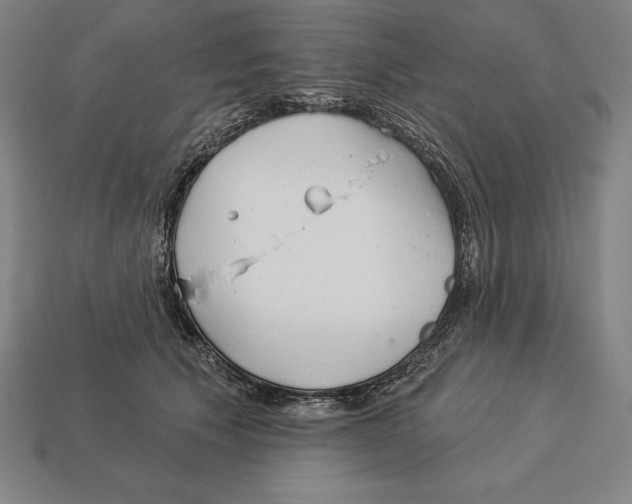 X0000113120609200909251114