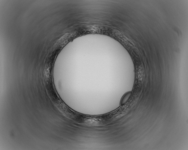 X0000113120611200909251114