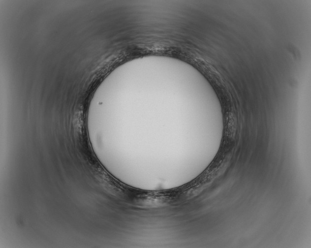 X0000113120612200909251114