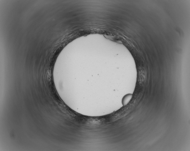 X0000113120613200909251114
