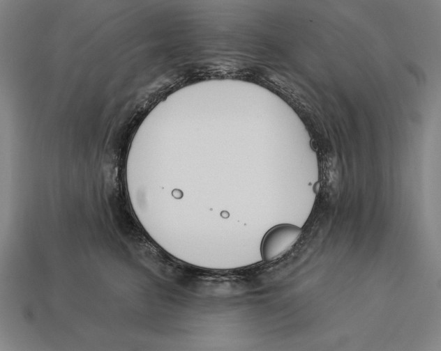 X0000113120615200909251114