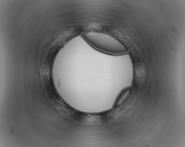 X0000113120617200909251114