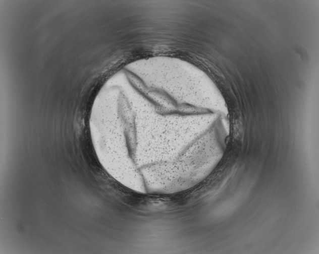 X0000113120618200909251114