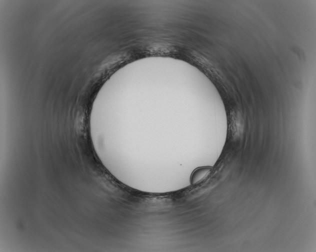 X0000113120619200909251114