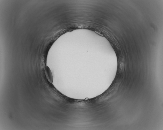 X0000113120620200909251114