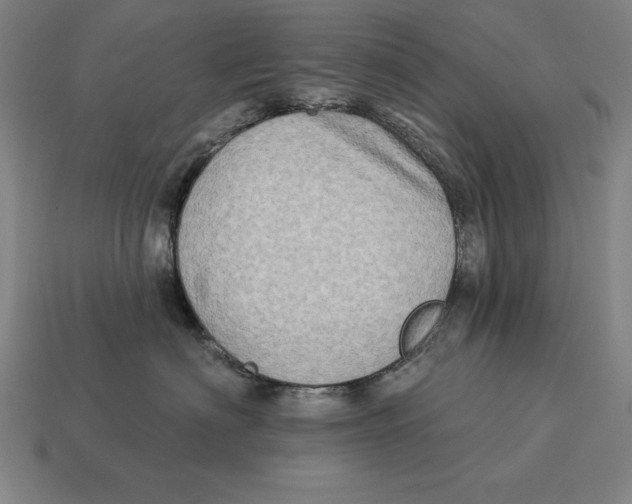 X0000113120622200909251114