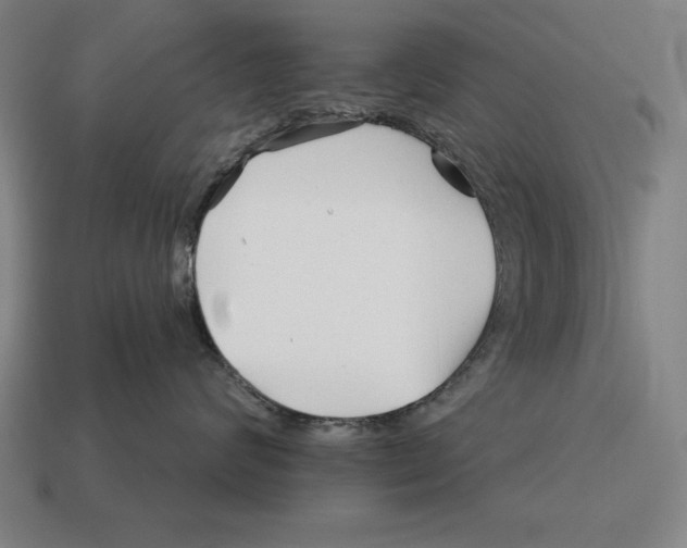 X0000113120624200909251114