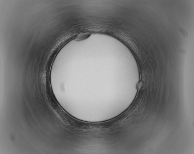 X0000113120626200909251113