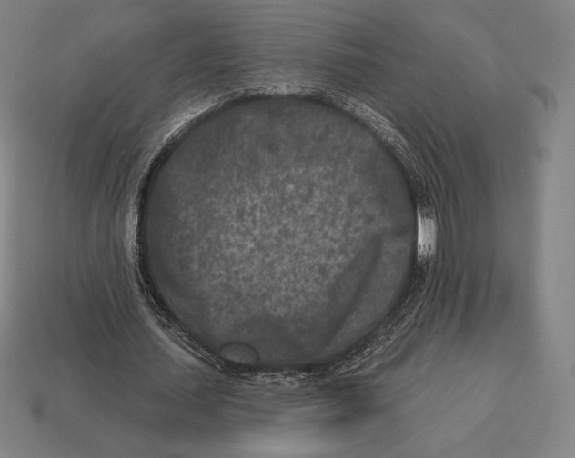 X0000113120627200909251113
