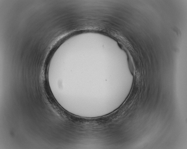 X0000113120628200909251113