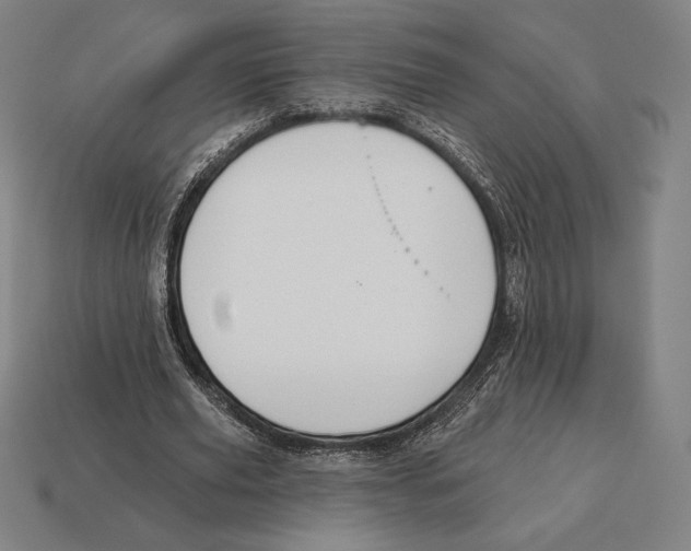 X0000113120629200909251113