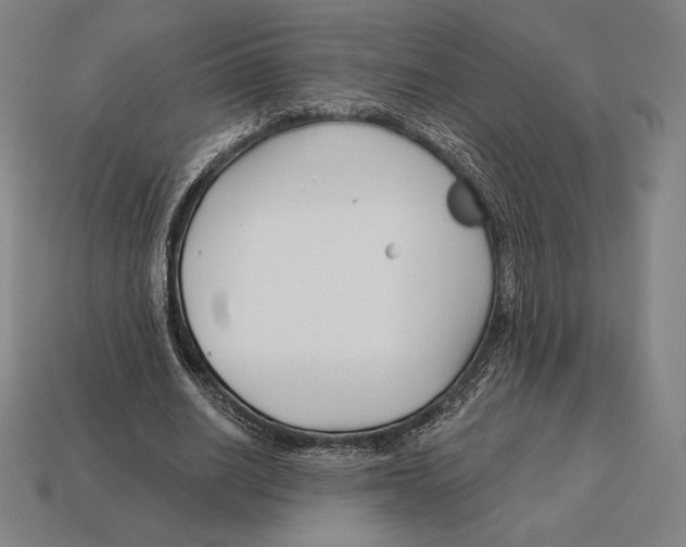 X0000113120630200909251113