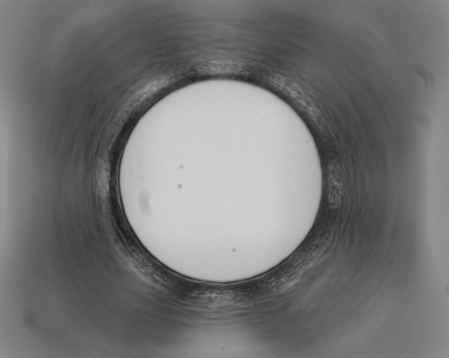 X0000113120631200909251113