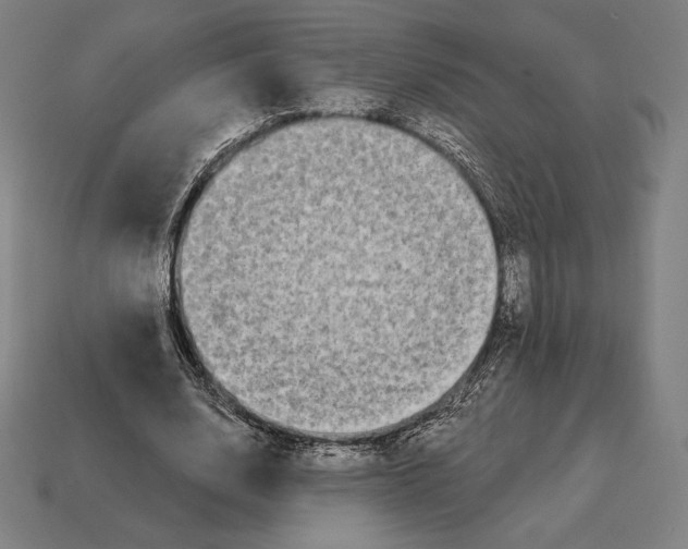 X0000113120632200909251113
