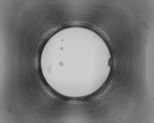 X0000113120633200909251113