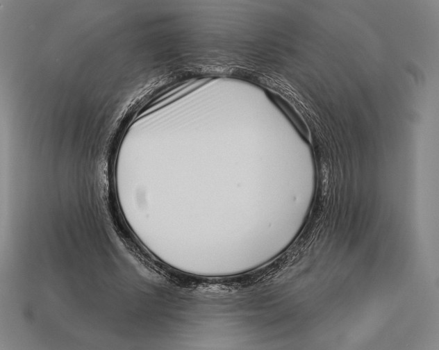 X0000113120634200909251113