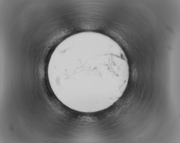 X0000113120635200909251113