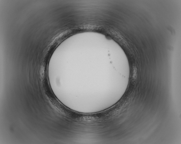 X0000113120636200909251113