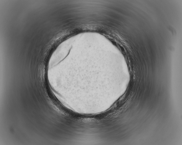 X0000113120637200909251113