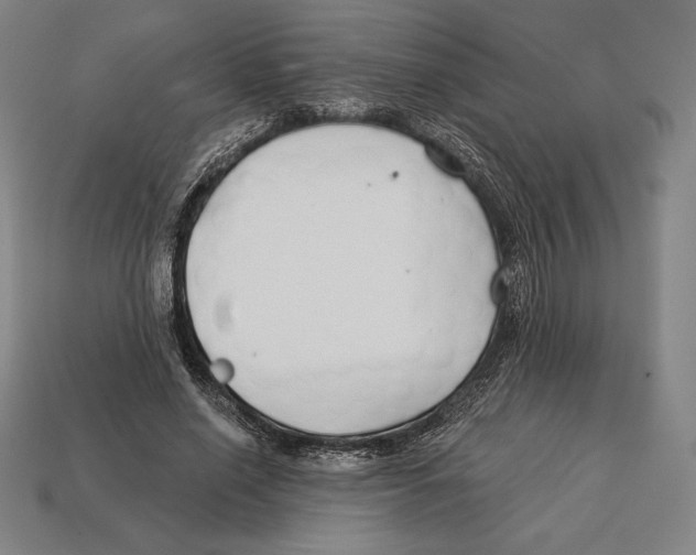 X0000113120638200909251113