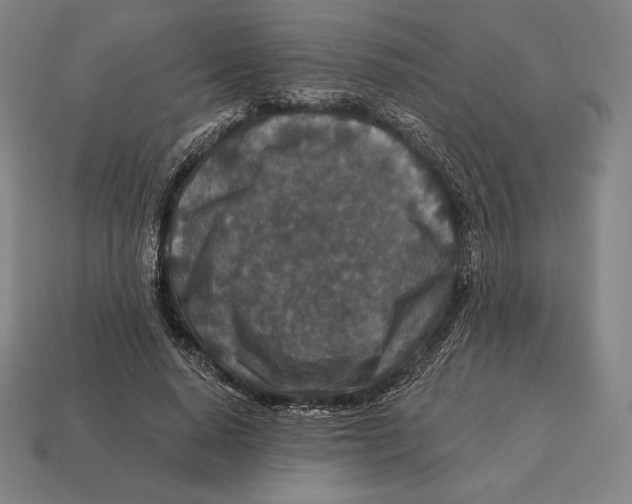 X0000113120640200909251113