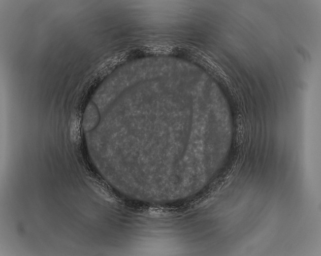 X0000113120641200909251113