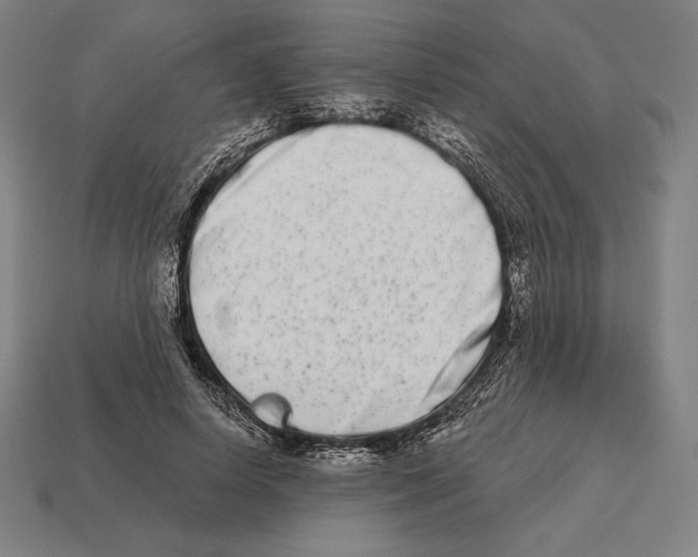 X0000113120642200909251113