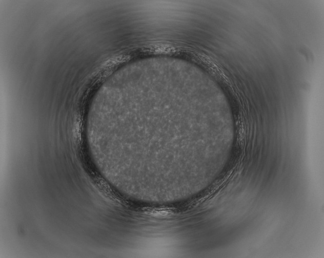 X0000113120643200909251113