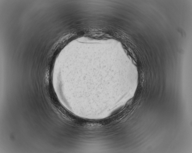 X0000113120644200909251113