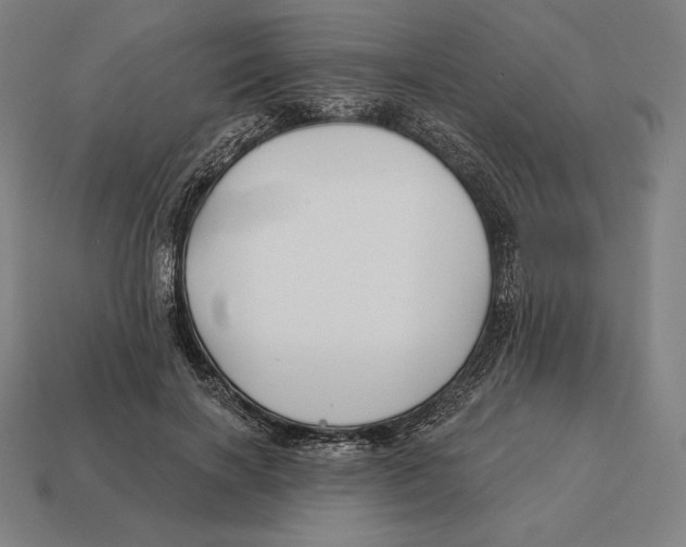 X0000113120646200909251113
