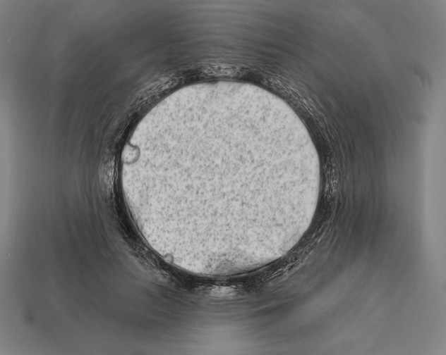 X0000113120647200909251113