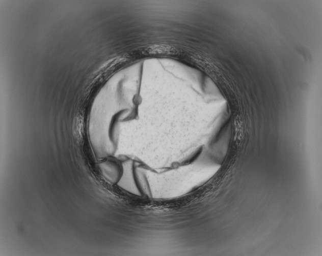 X0000113120648200909251113