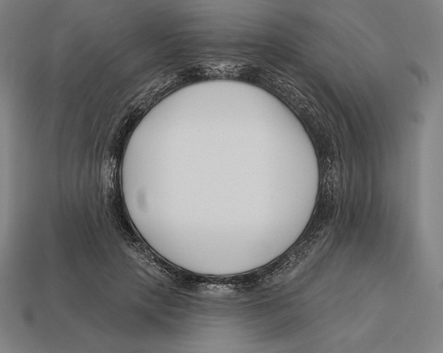 X0000113120649200909251113