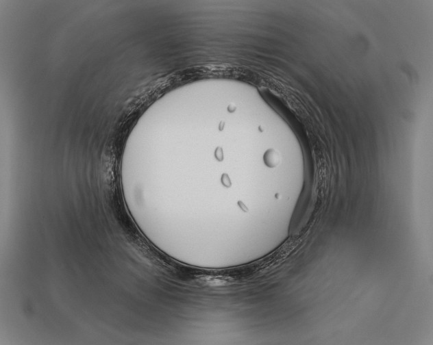 X0000113120654200909251114