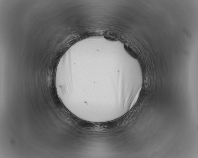 X0000113120656200909251114