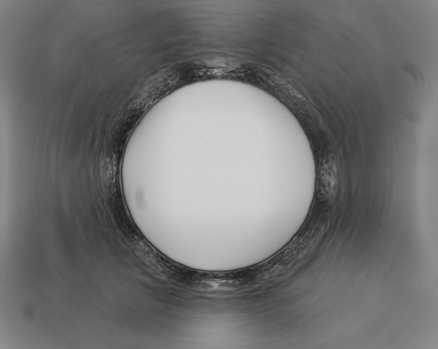 X0000113120657200909251114