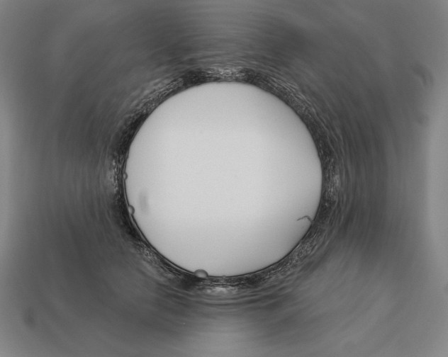 X0000113120658200909251114