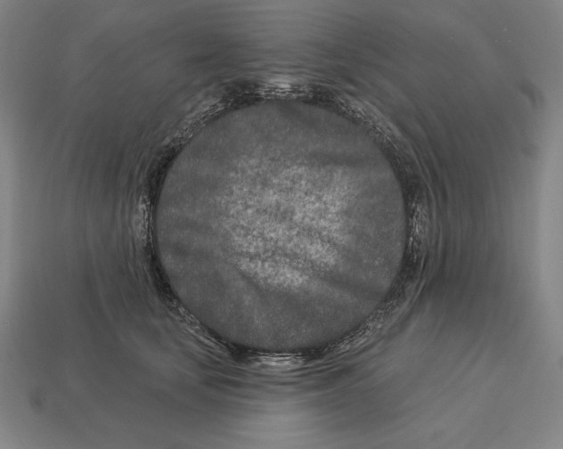 X0000113120659200909251114