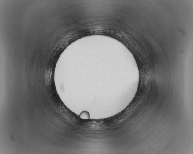 X0000113120660200909251114