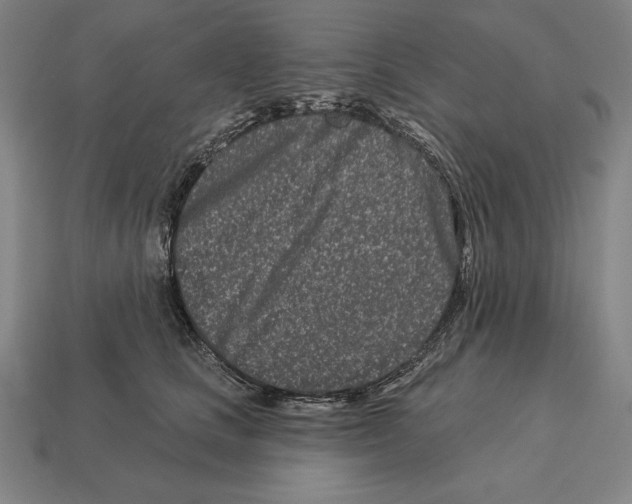X0000113120661200909251114