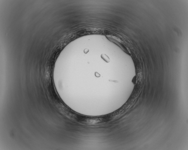 X0000113120662200909251114