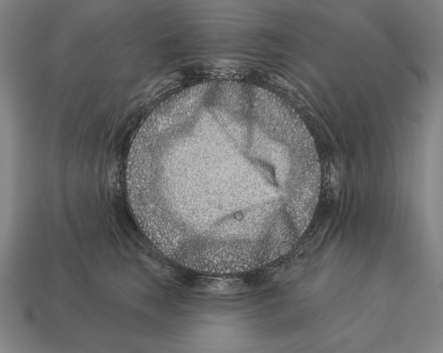 X0000113120663200909251114