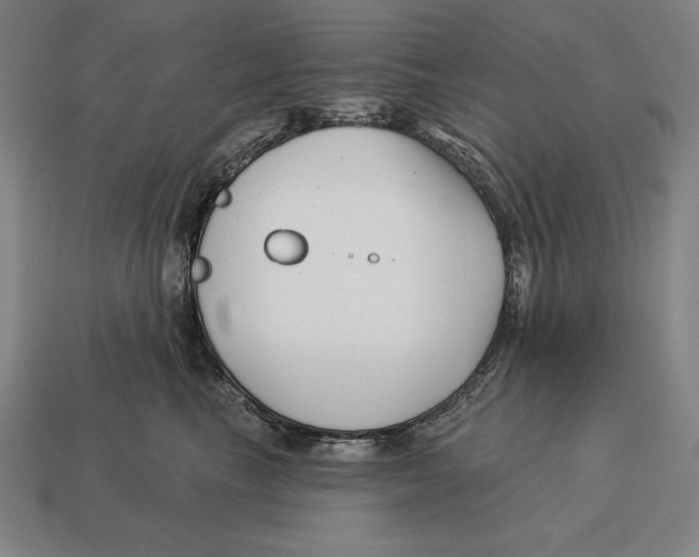 X0000113120665200909251114