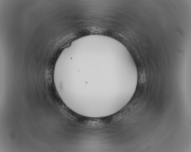 X0000113120666200909251114